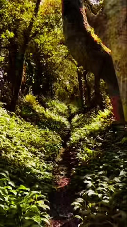 TikTok video thumbnail by mydeterioratingmind