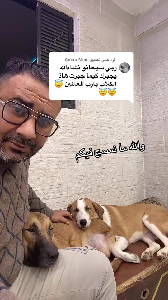 TikTok video thumbnail by roza587