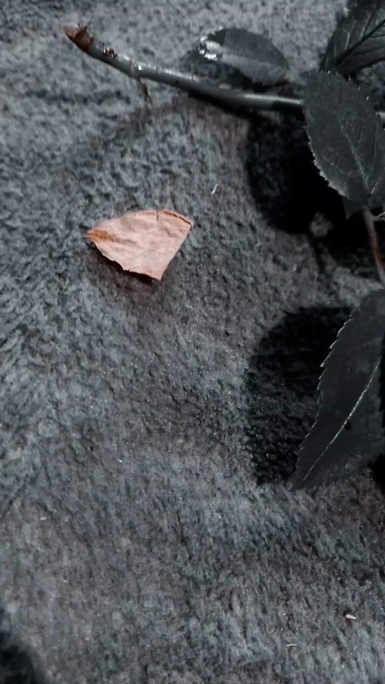 TikTok video thumbnail by miczka176