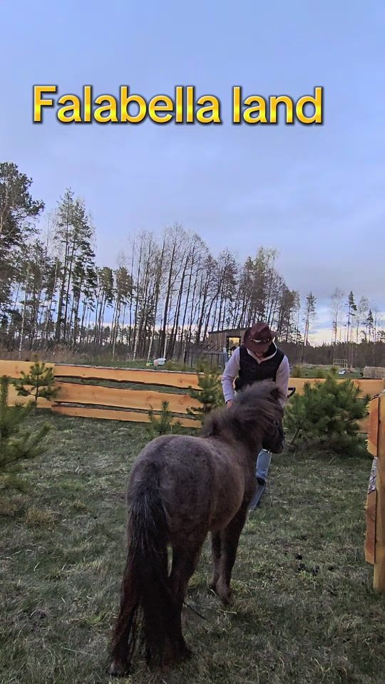 TikTok video thumbnail by aigarsklavs