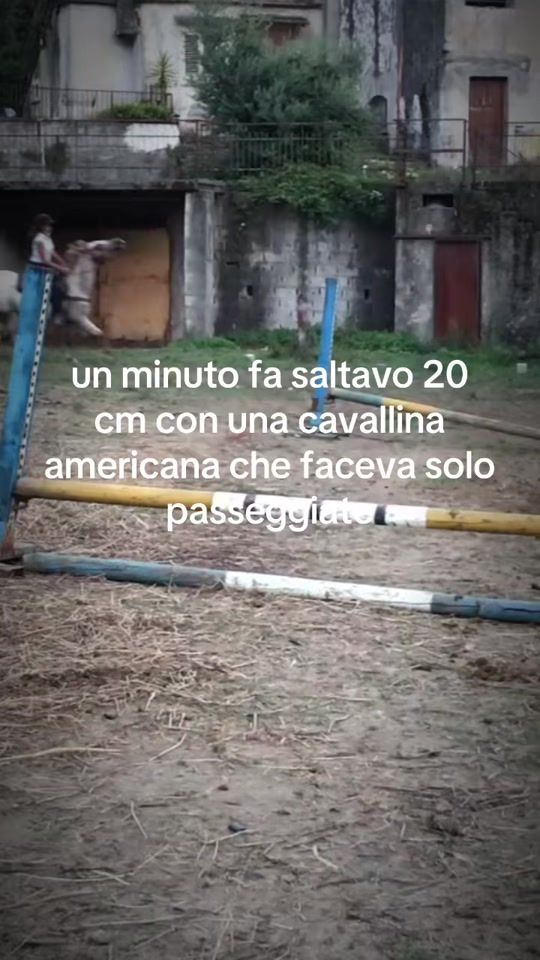 TikTok video thumbnail by vittobaccaro