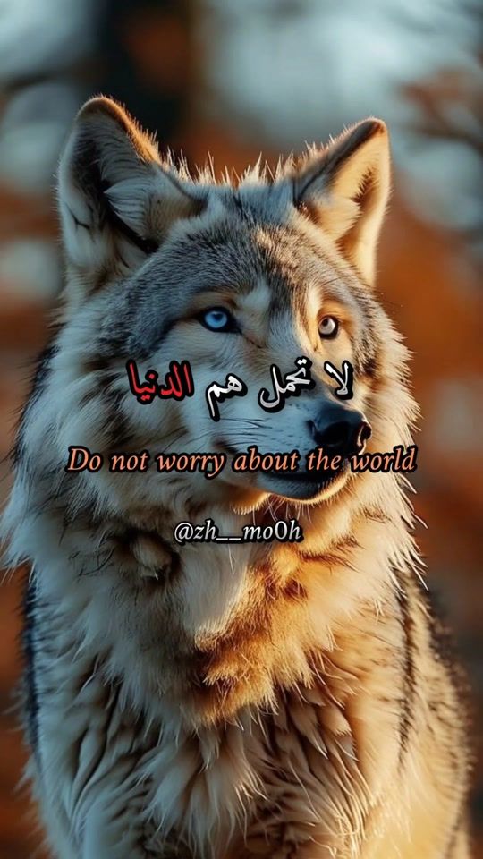 TikTok video thumbnail by zh__mo0h