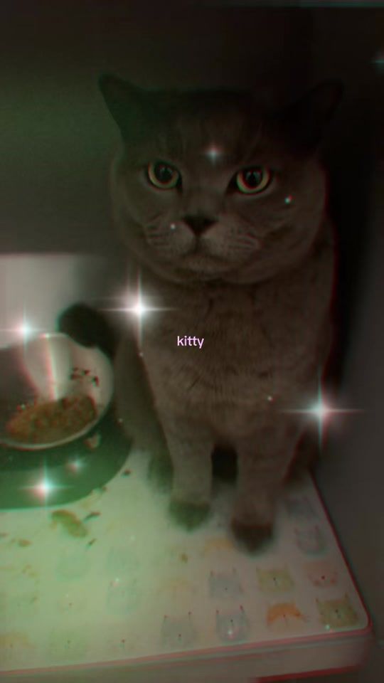 TikTok video thumbnail by hhutchyy