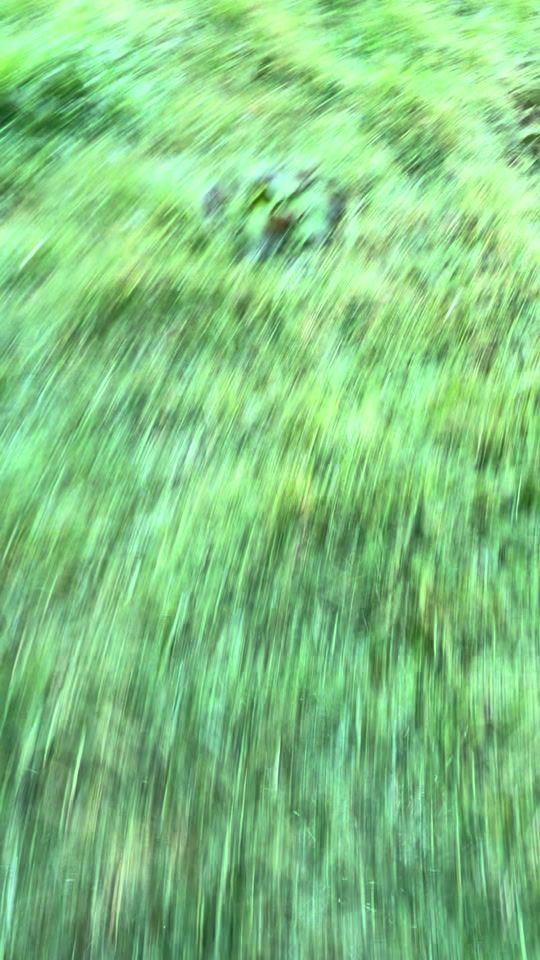 TikTok video thumbnail by thomas.delaney27