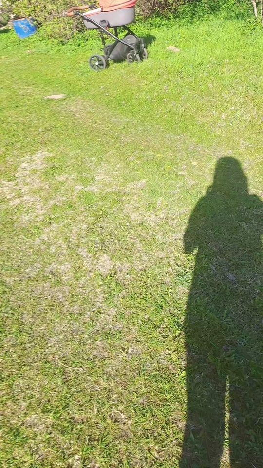 TikTok video thumbnail by user31572729816826