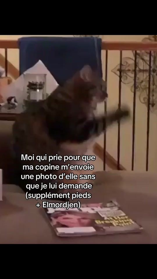 TikTok video thumbnail by naadam_