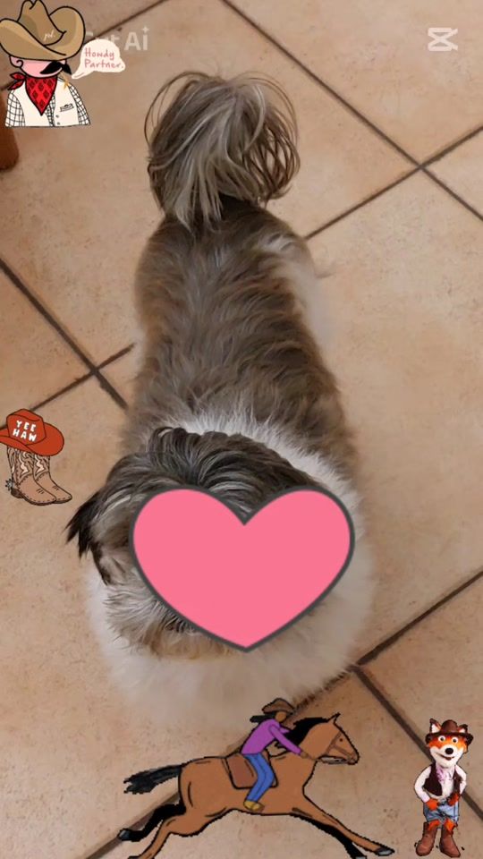 TikTok video thumbnail by giusyathos