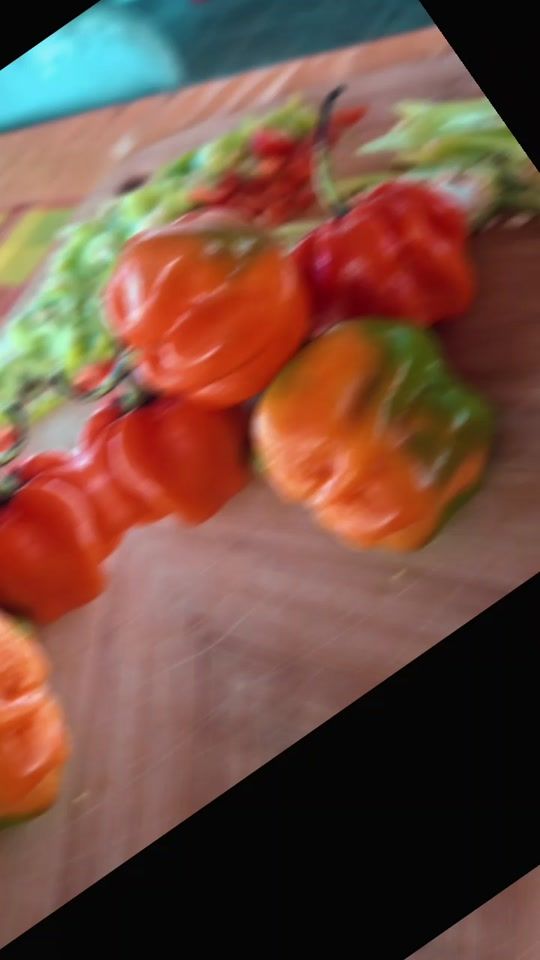 TikTok video thumbnail by gambit97160