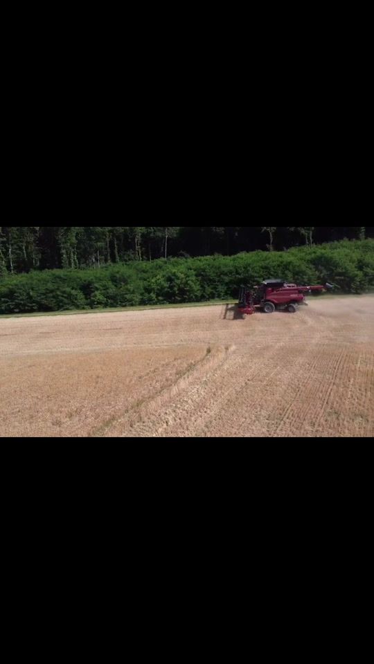 TikTok video thumbnail by aaronagri_