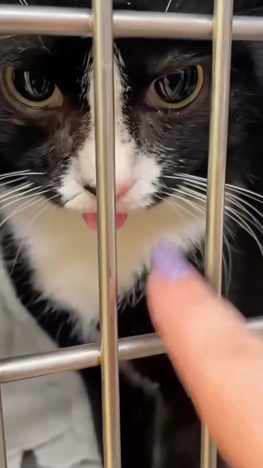 TikTok video thumbnail by 112nasse.r