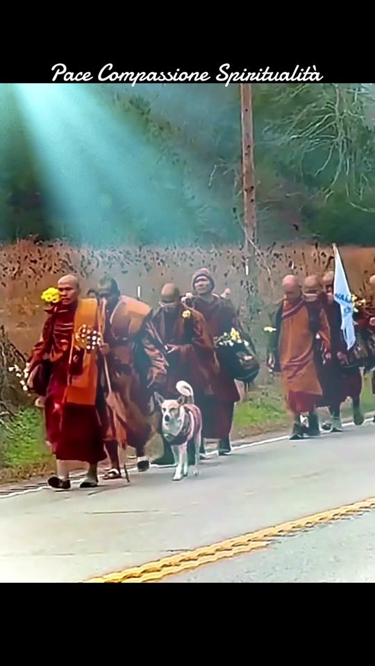 TikTok video thumbnail by cassanet