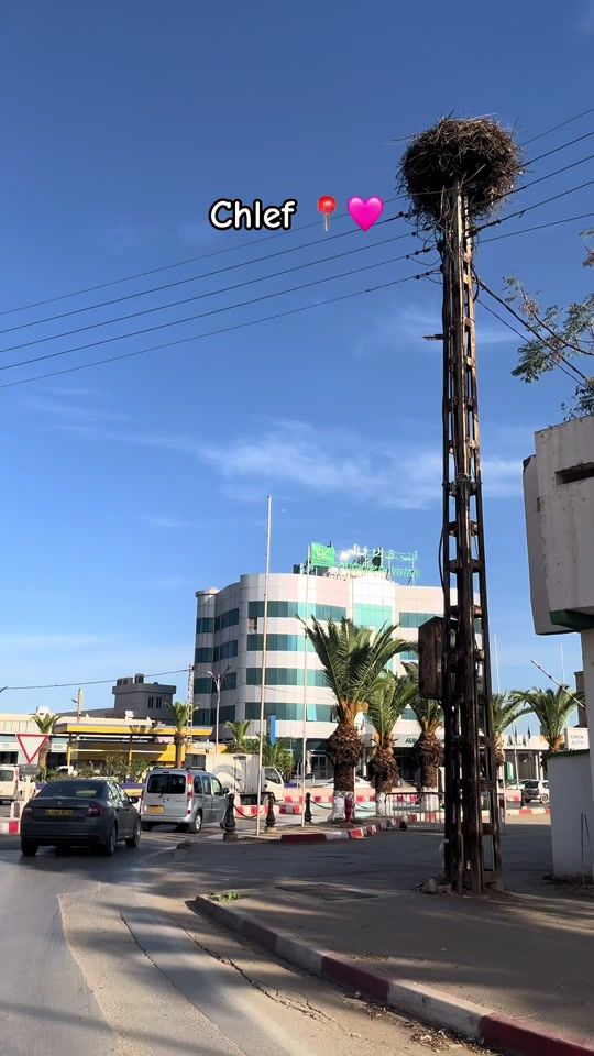 TikTok video thumbnail by biba__002