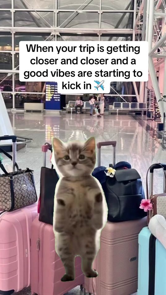 TikTok video thumbnail by juravit