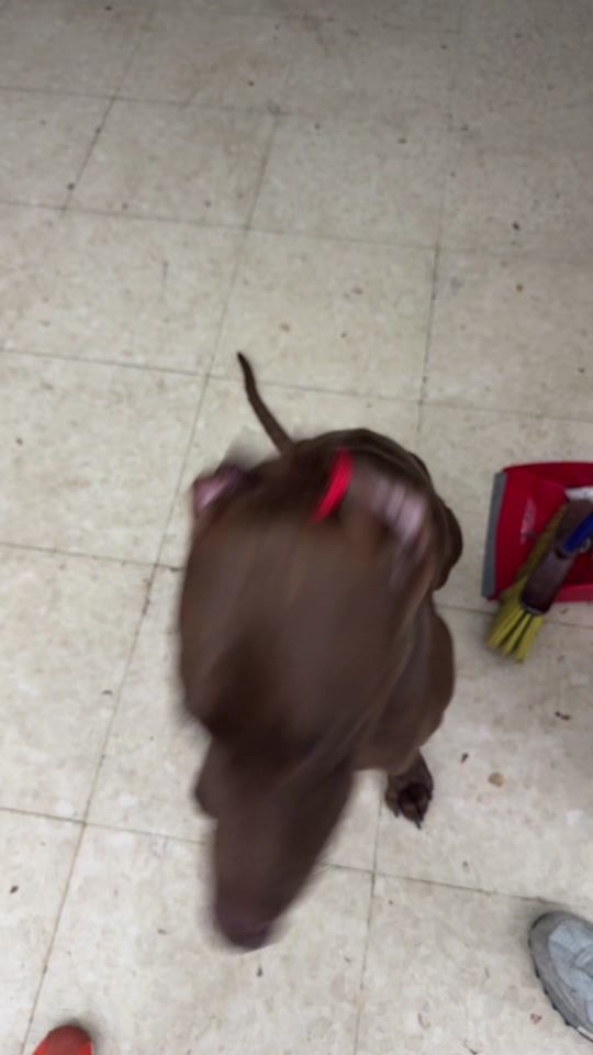 TikTok video thumbnail by megaansantiiagoo