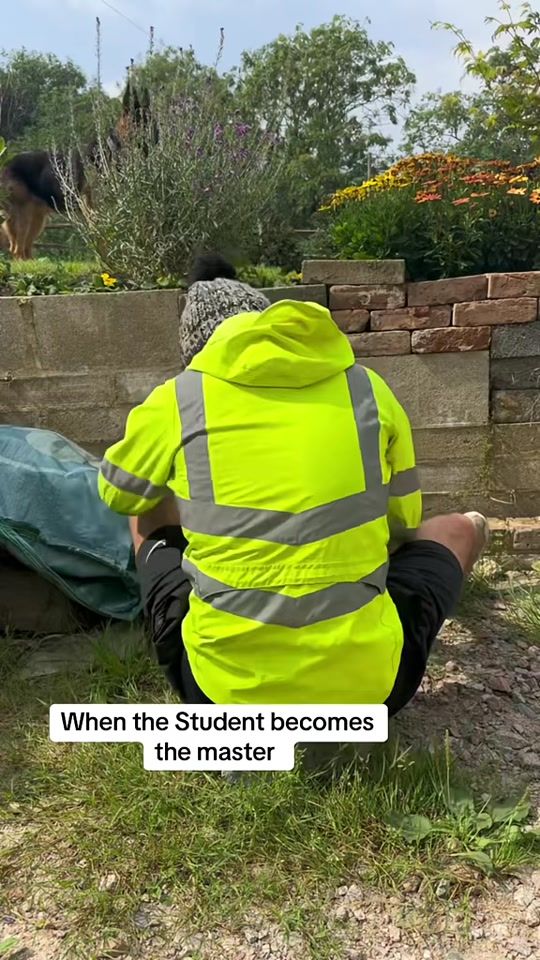 TikTok video thumbnail by benjaminbeesley