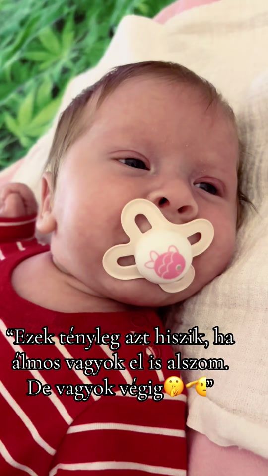 TikTok video thumbnail by rebus__nemeth
