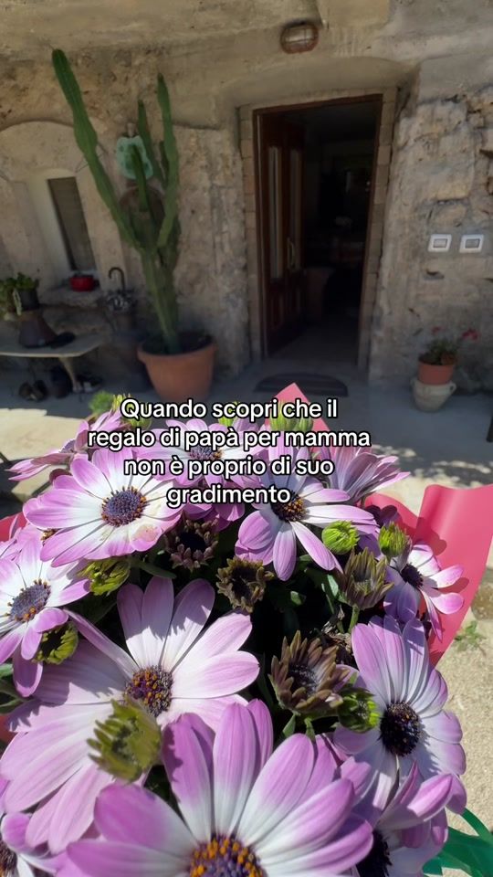 TikTok video thumbnail by roberta.maddalena