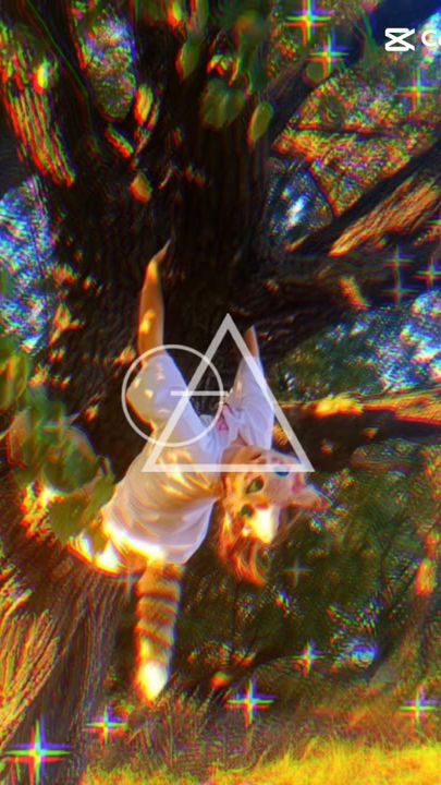 TikTok video thumbnail by blue.okami4