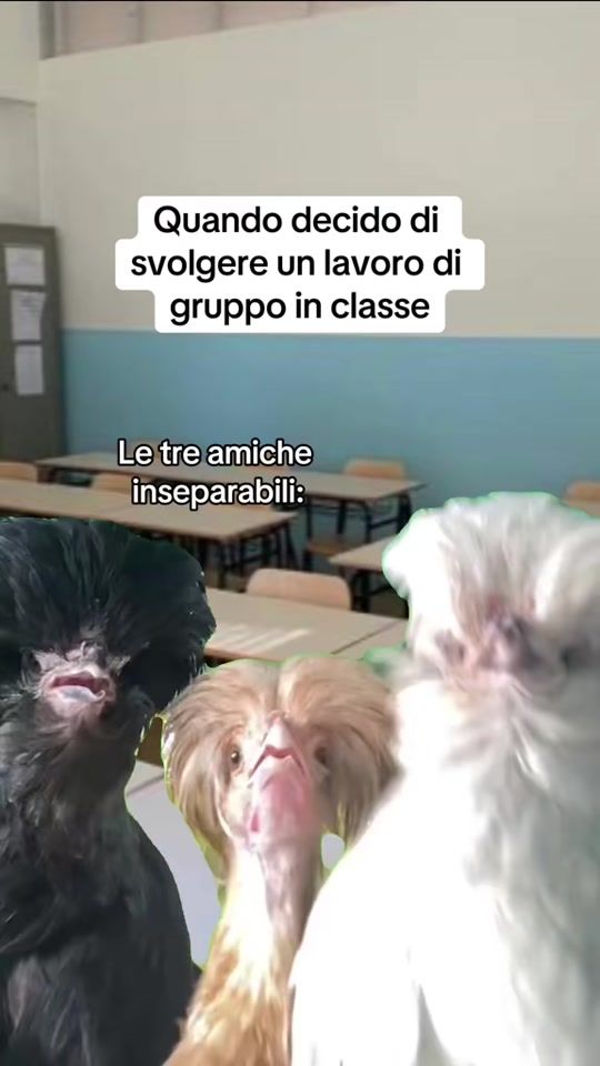 TikTok video thumbnail by prof_ciappetta