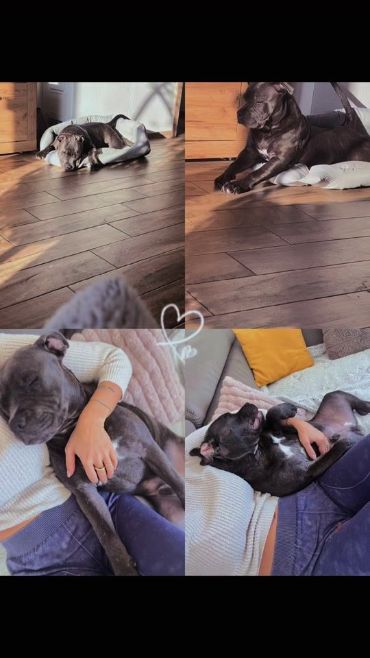 TikTok video thumbnail by 0_solfi