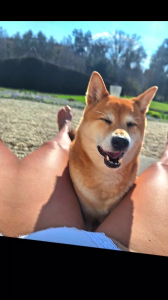 TikTok video thumbnail by ljulok6