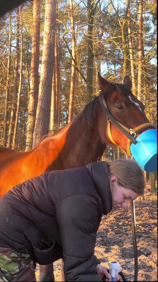 TikTok video thumbnail by schiray