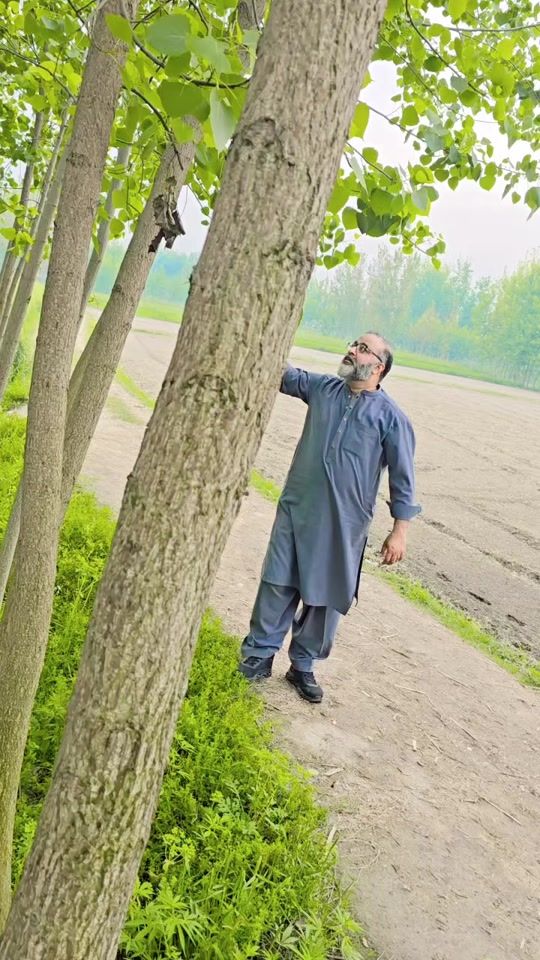 TikTok video thumbnail by jameel_khan5050