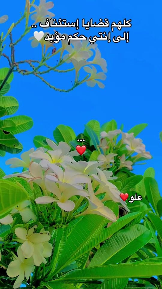 TikTok video thumbnail by mohmmd.ali96