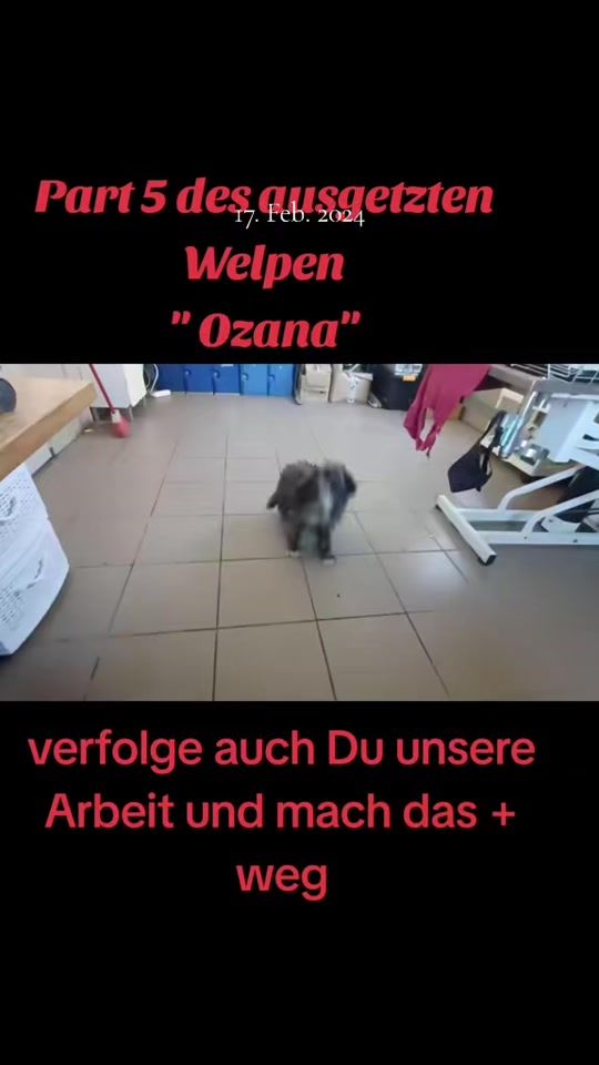 TikTok video thumbnail by tanjakaupp
