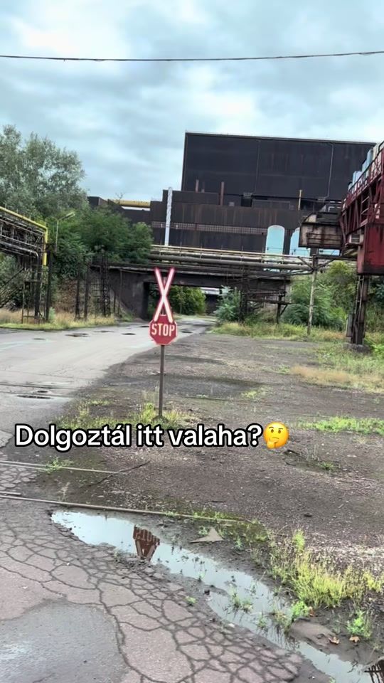 TikTok video thumbnail by kubukubu01