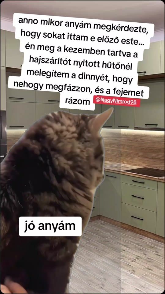 TikTok video thumbnail by nagynimrod98