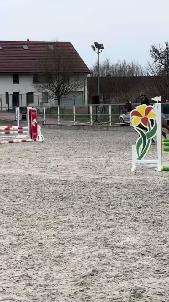 TikTok video thumbnail by three_crazy_ponies