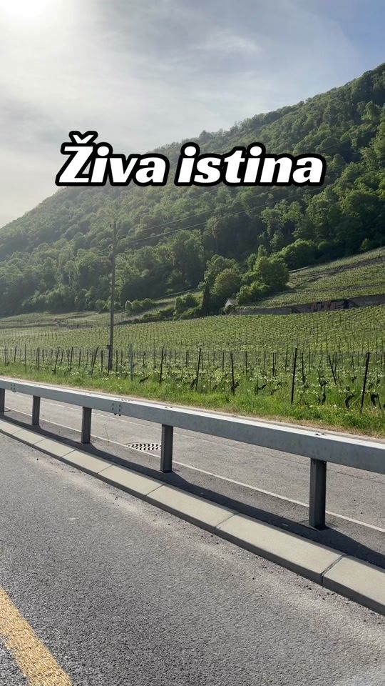 TikTok video thumbnail by bilal_lola_