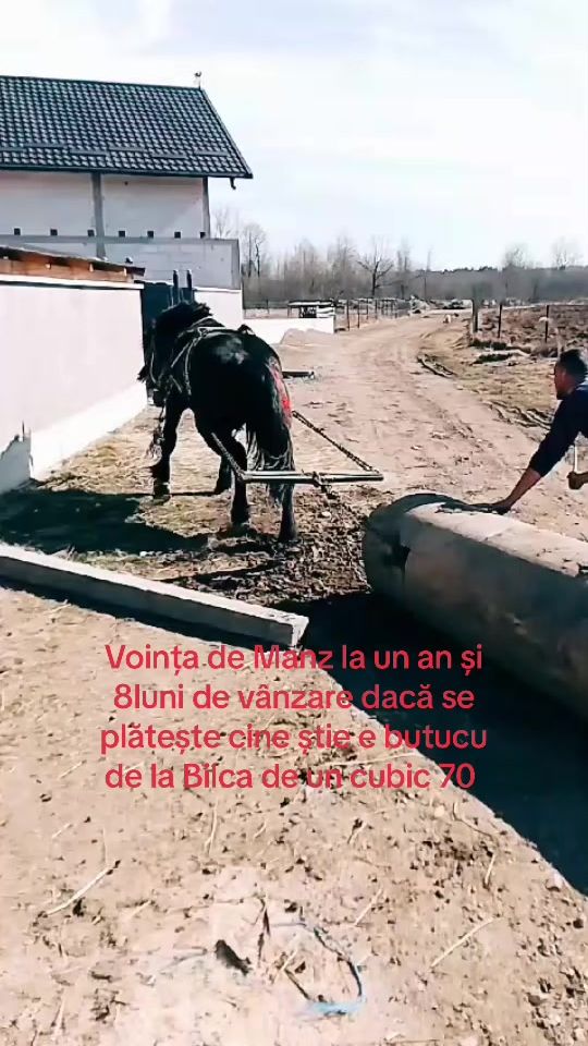 TikTok video thumbnail by roberto_r462