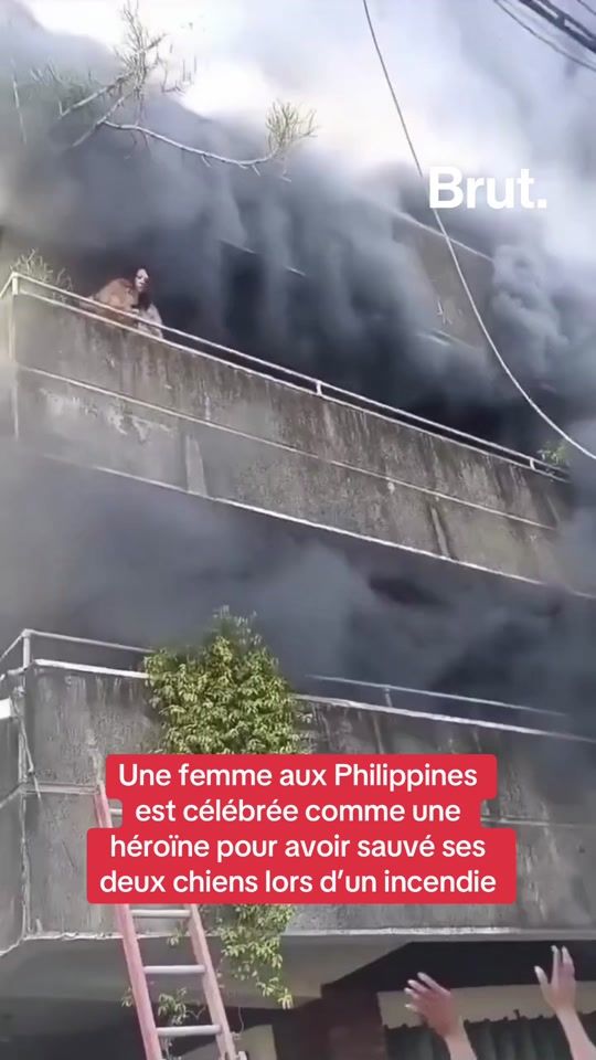 TikTok video thumbnail by brutofficiel