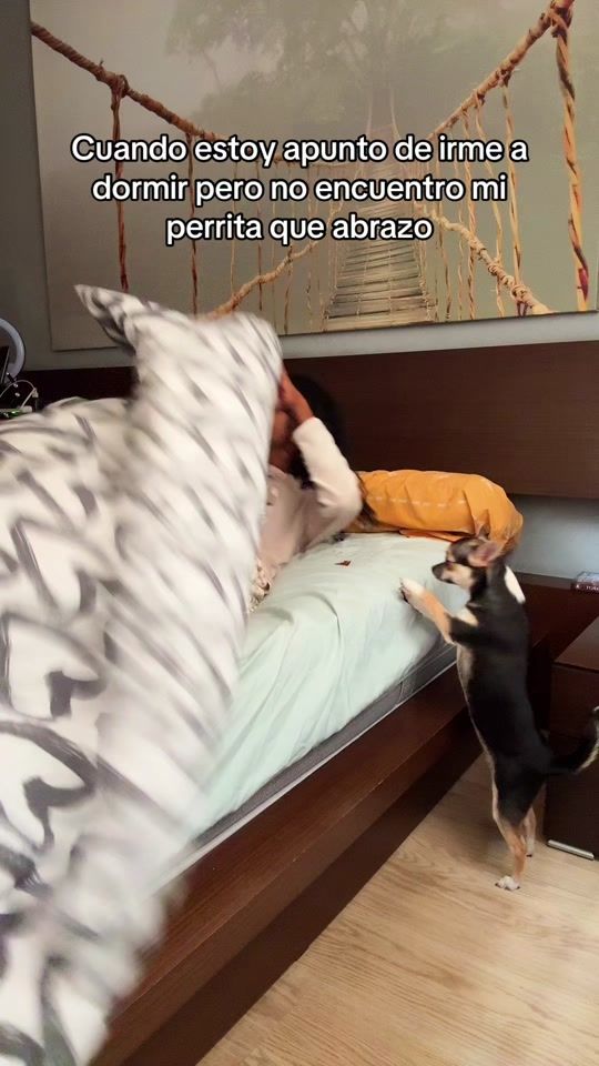 TikTok video thumbnail by ely.oficial