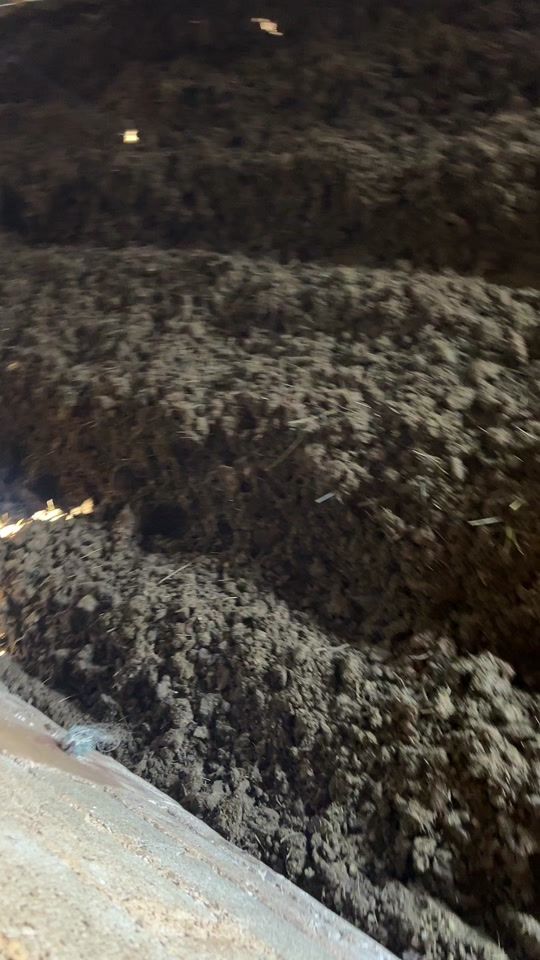 TikTok video thumbnail by ivanototic