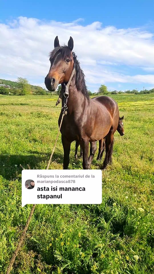 TikTok video thumbnail by angel.gr5