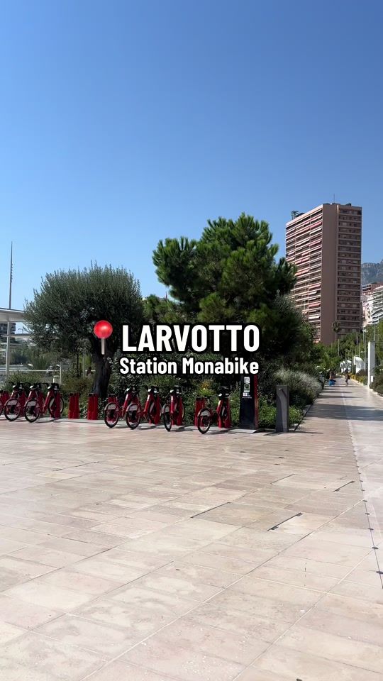TikTok video thumbnail by monabike