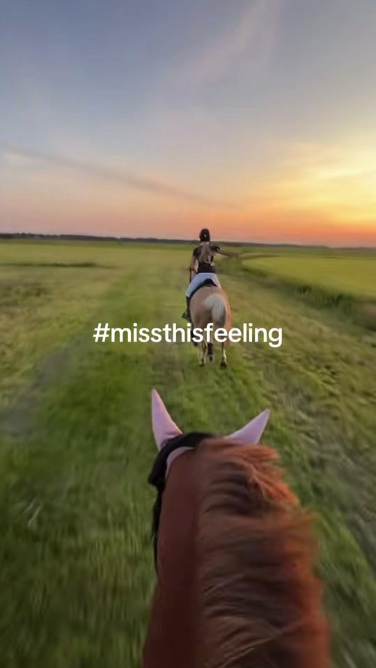 TikTok video thumbnail by leni_hansen_