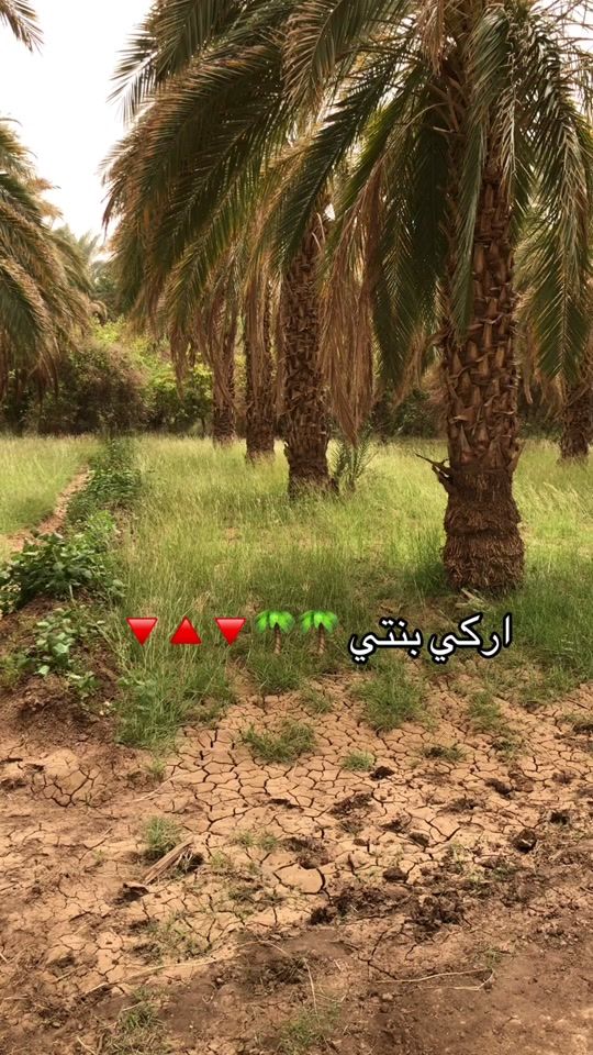 TikTok video thumbnail by taharqa38