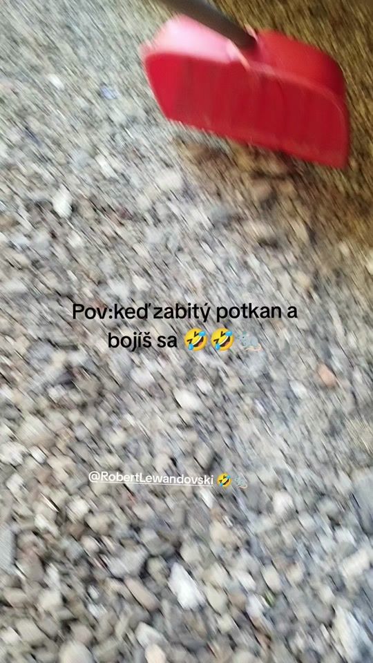 TikTok video thumbnail by mamuko_berci_21