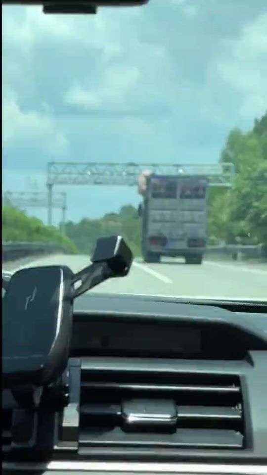 TikTok video thumbnail by djcanik