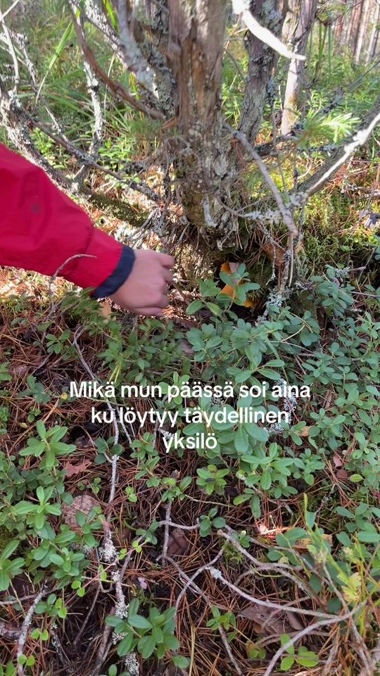 TikTok video thumbnail by viivihelisalo