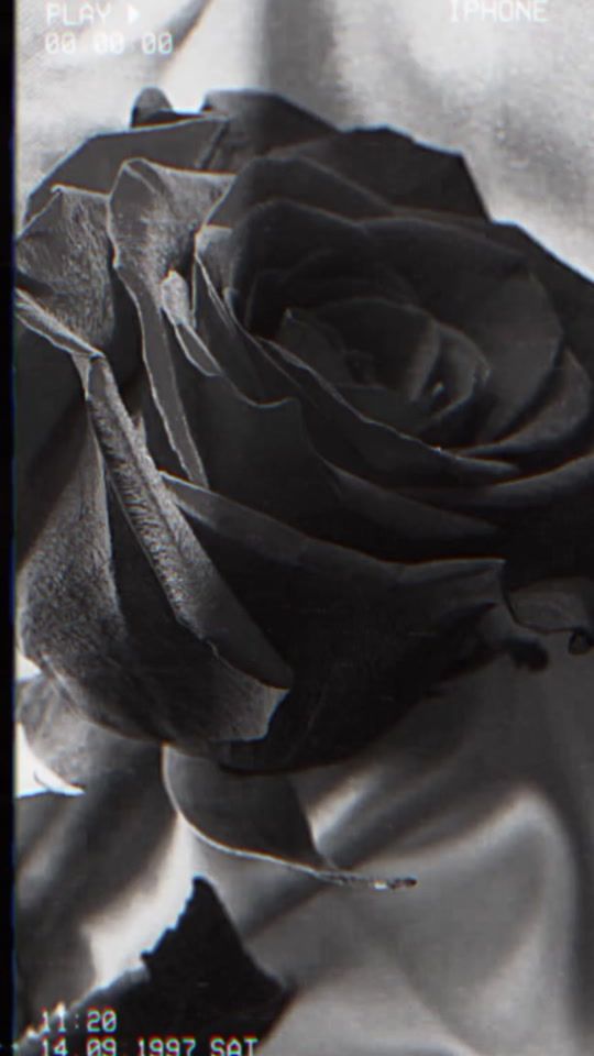 TikTok video thumbnail by paolagioe