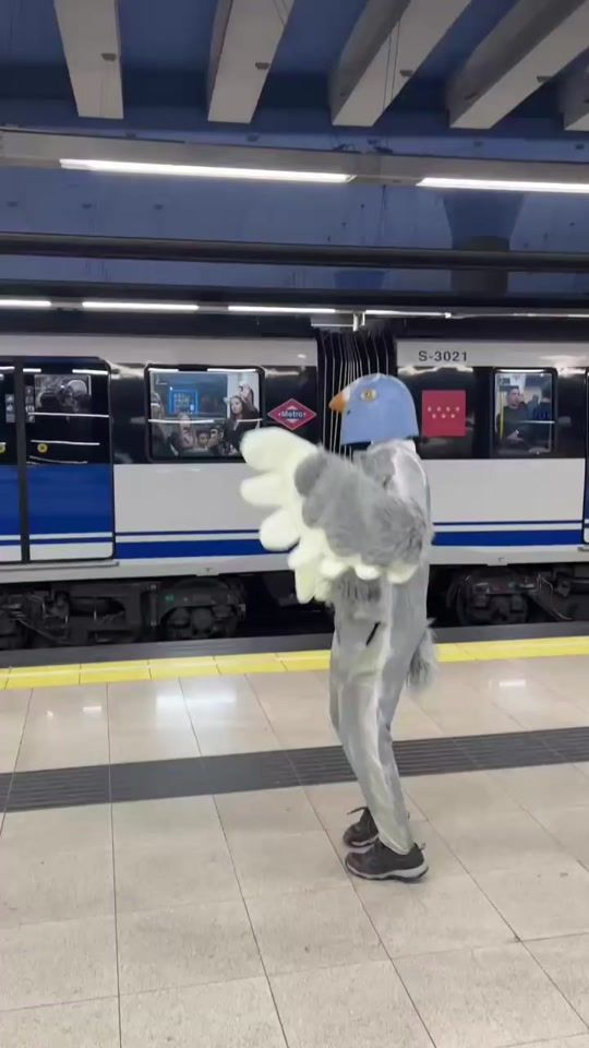TikTok video thumbnail by victorewik