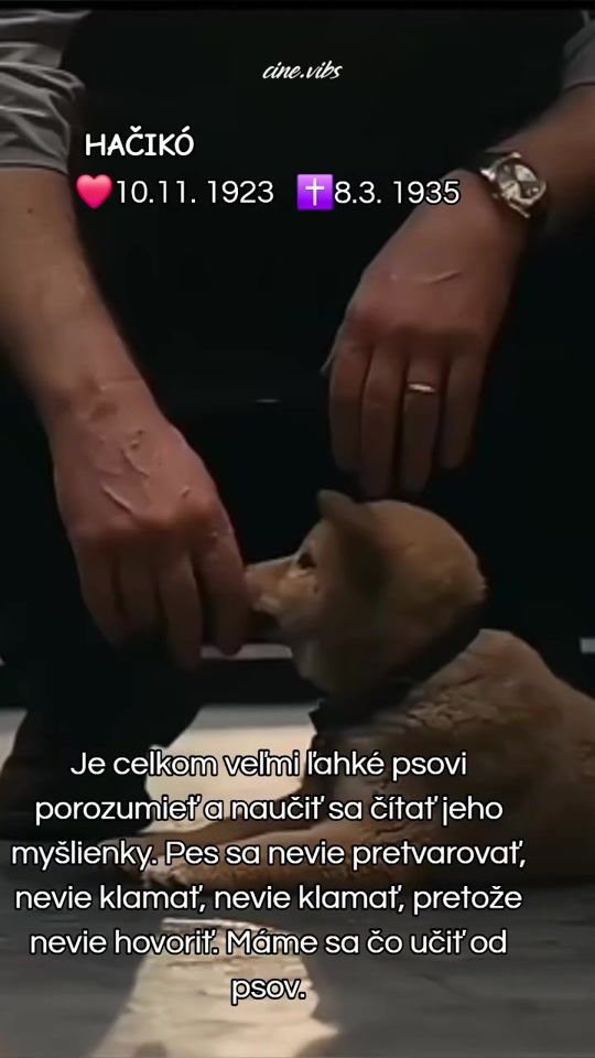 TikTok video thumbnail by vlk_vlk250972