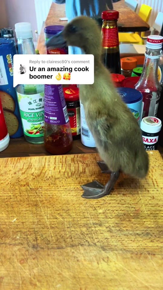 TikTok video thumbnail by irishboomer