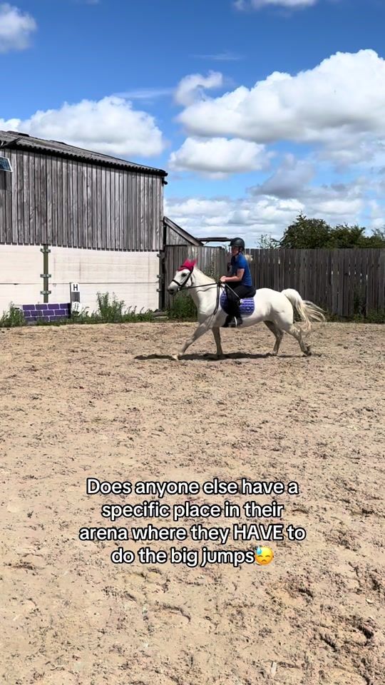 TikTok video thumbnail by behindherears