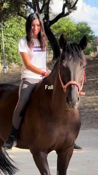 TikTok video thumbnail by eventing_nr